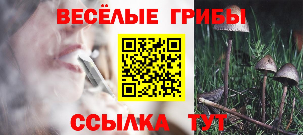 Галлюциногенные грибы MAGIC MUSHROOMS Наро-Фоминск
